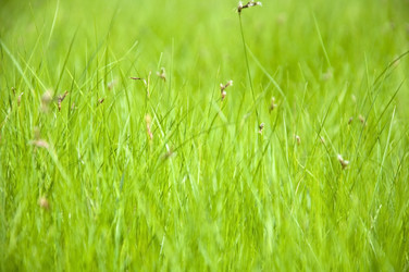 Similar image 209233