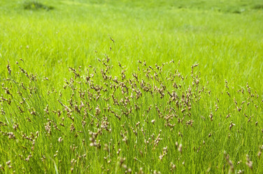 Similar image 209234