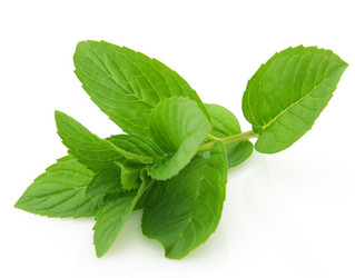 Similar image 209244