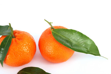 Similar image 209255