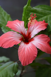 Similar image 209266