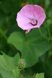 Similar image 209267