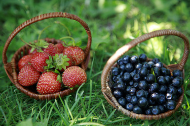 Similar image 209302