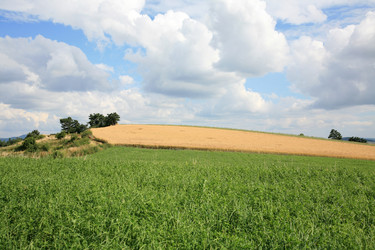 Similar image 209305