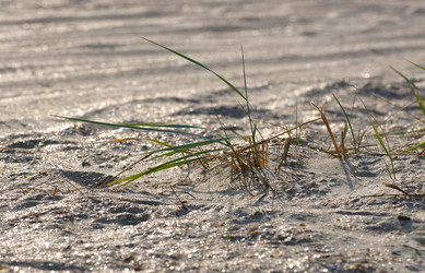 Similar image 209320