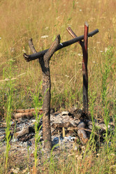 Similar image 209361