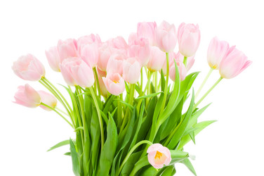 Similar image 209390