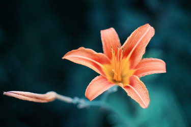 Similar image 209392