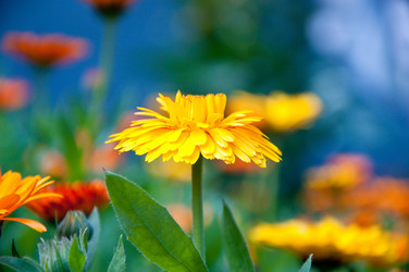 Similar image 209394