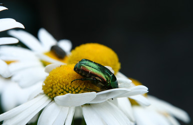 Similar image 209401