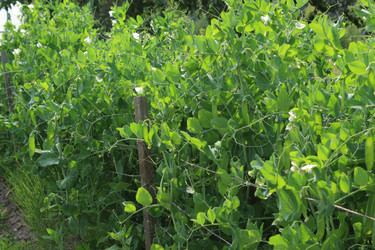 Similar image 209412