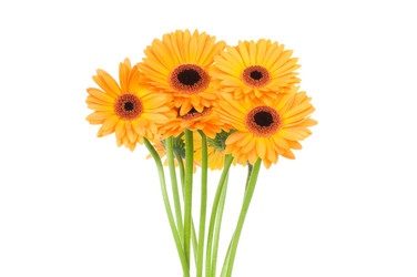 Similar image 209432