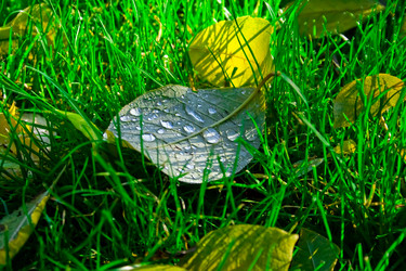 Similar image 209439