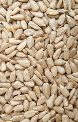 Similar image 209457