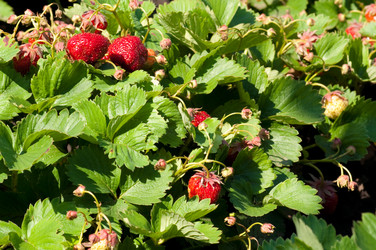 Similar image 209459