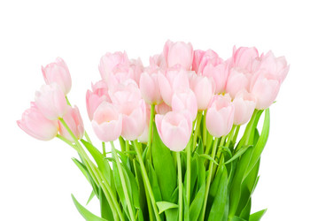 Similar image 209496