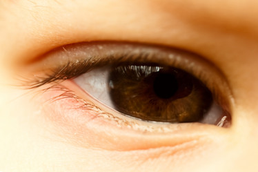 Similar image 209541