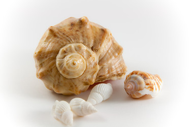 Similar image 209572