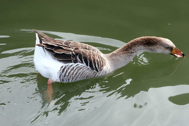 Similar image 209649