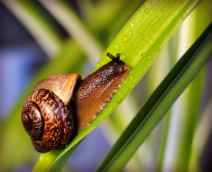 Similar image 209653