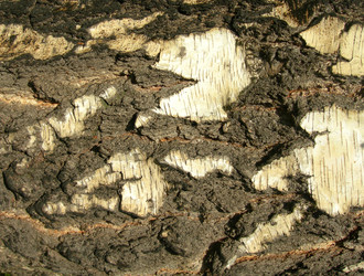 Similar image 209672