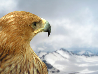 Similar image 209690