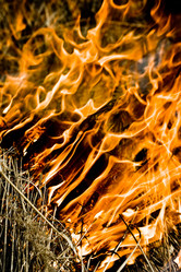 Similar image 209696