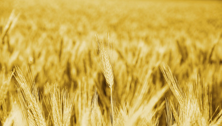 Similar image 209699