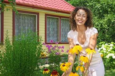 Similar image 209743