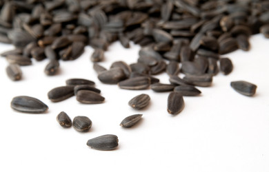 Similar image 209797