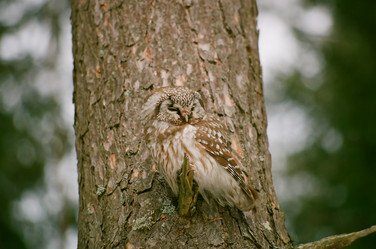 Similar image 209844