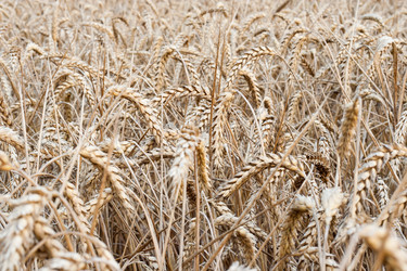 Similar image 209849