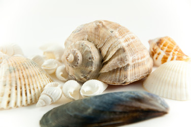 Similar image 209853