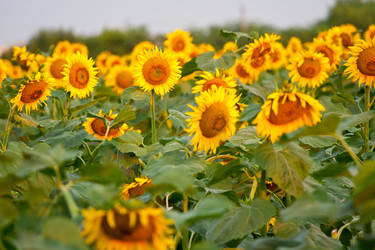 Similar image 209873