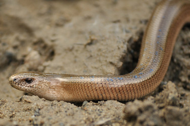 Similar image 209884