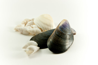 Similar image 209895