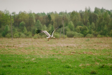 Similar image 209899