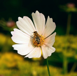 Similar image 209921