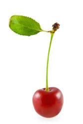 Similar image 209939