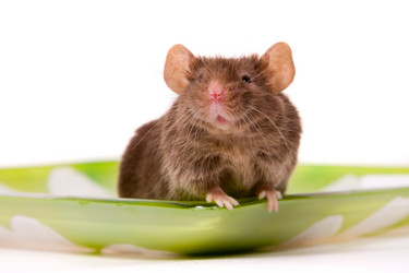 Similar image 209958