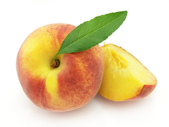 Similar image 209969