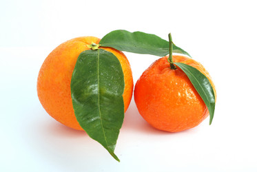 Similar image 209975