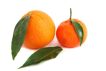 Similar image 209976