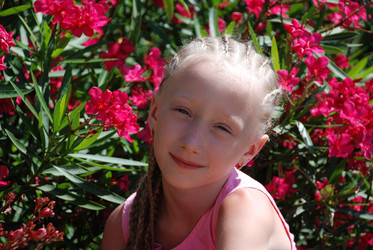 Similar image 209983