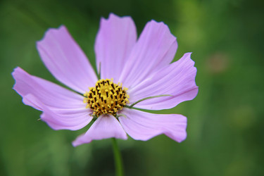 Similar image 210029