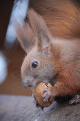 Similar image 210048