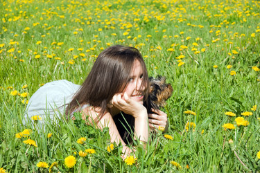 Similar image 210056