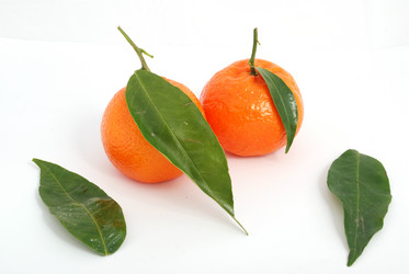 Similar image 210075