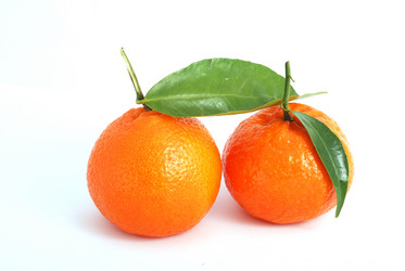 Similar image 210076