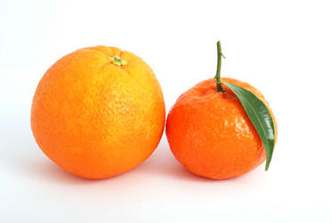 Similar image 210080